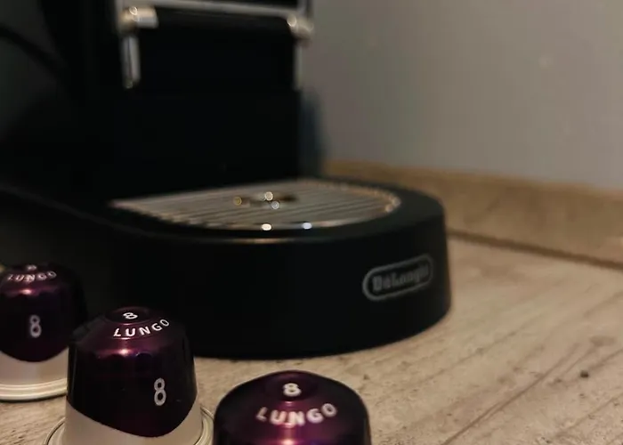 招待所 Osthoff 3*