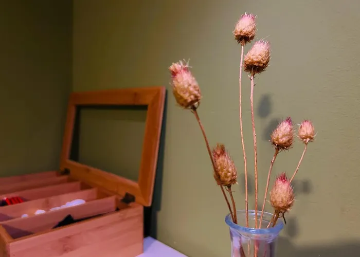 Osthoff 招待所 3*